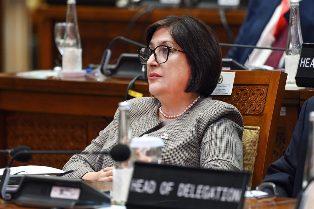 Chair of Azerbaijani Parliament called on G20 parliament chairmen to condemn the behavior of Armenia