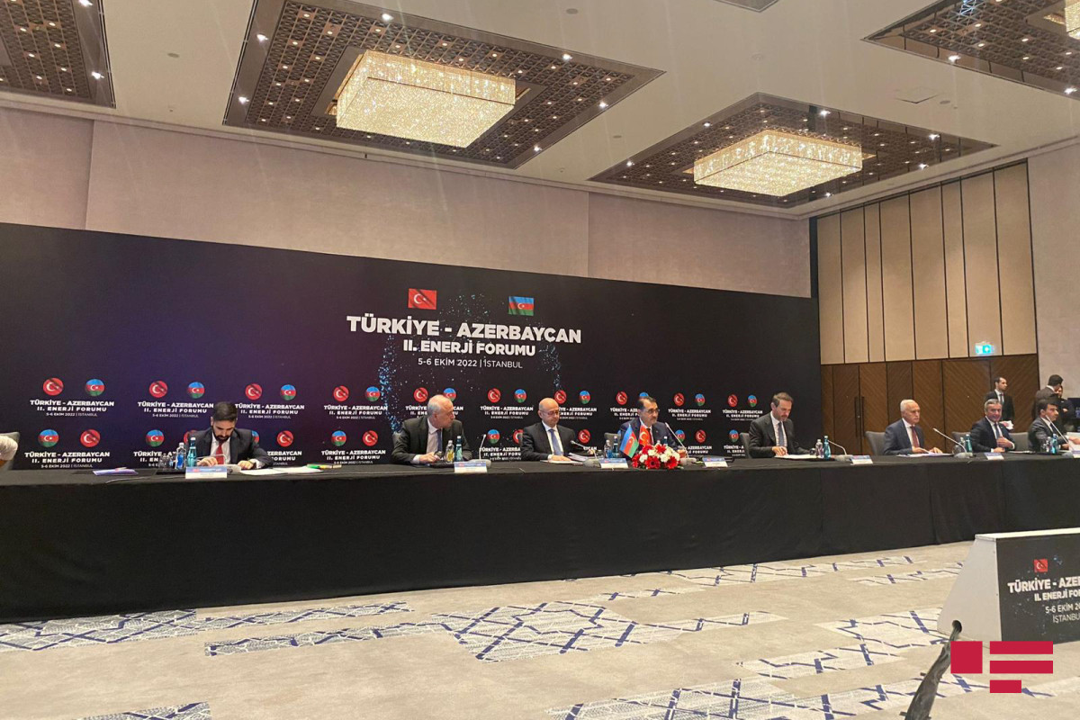 Fatih Donmez: "New era to begin between Azerbaijan and Turkiye in the energy field" -PHOTO 