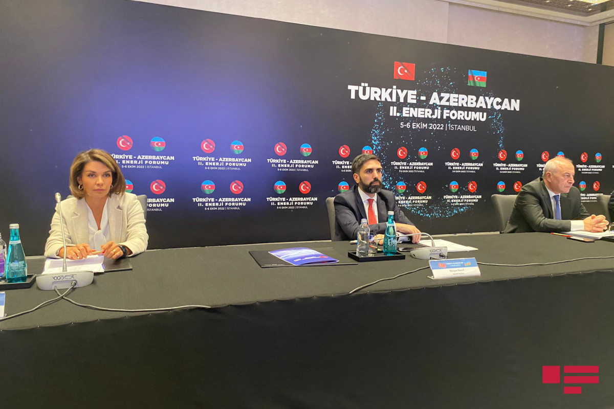 SOCAR President: "We plan to double supply via SGC"