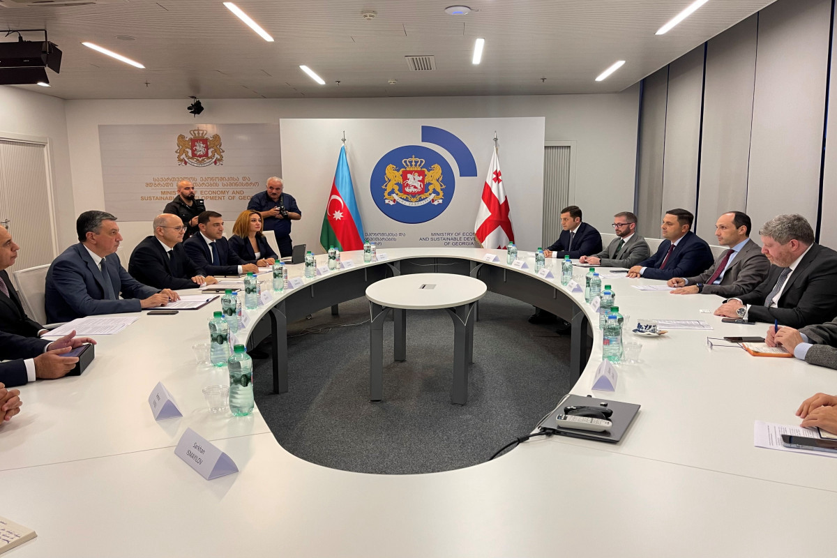 Parviz Shahbazov meets with Georgian Minister of Economy and Sustainable Development