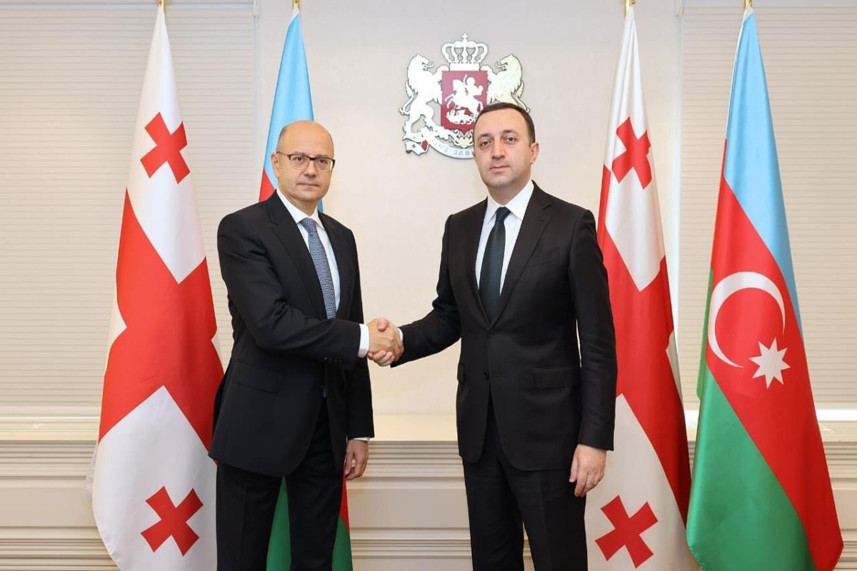 Parviz Shahbazov meets with Georgian PM