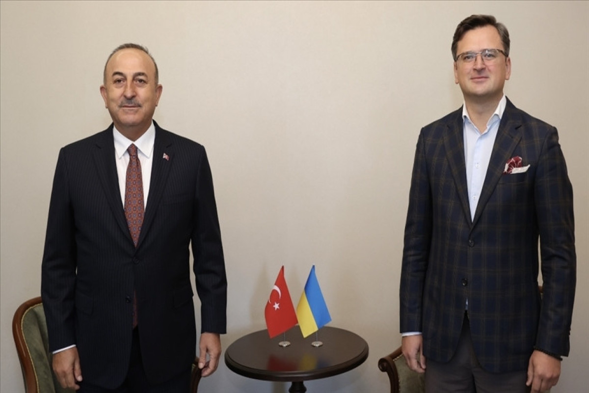 Turkish Foreign Minister Mevlut Cavusoglu and Ukrainian Foreign Minister Dmitry Kuleba