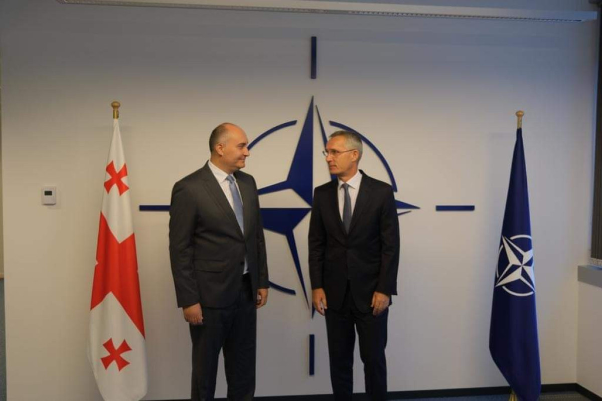 Georgian Defense Minister held meeting with NATO Secretary General