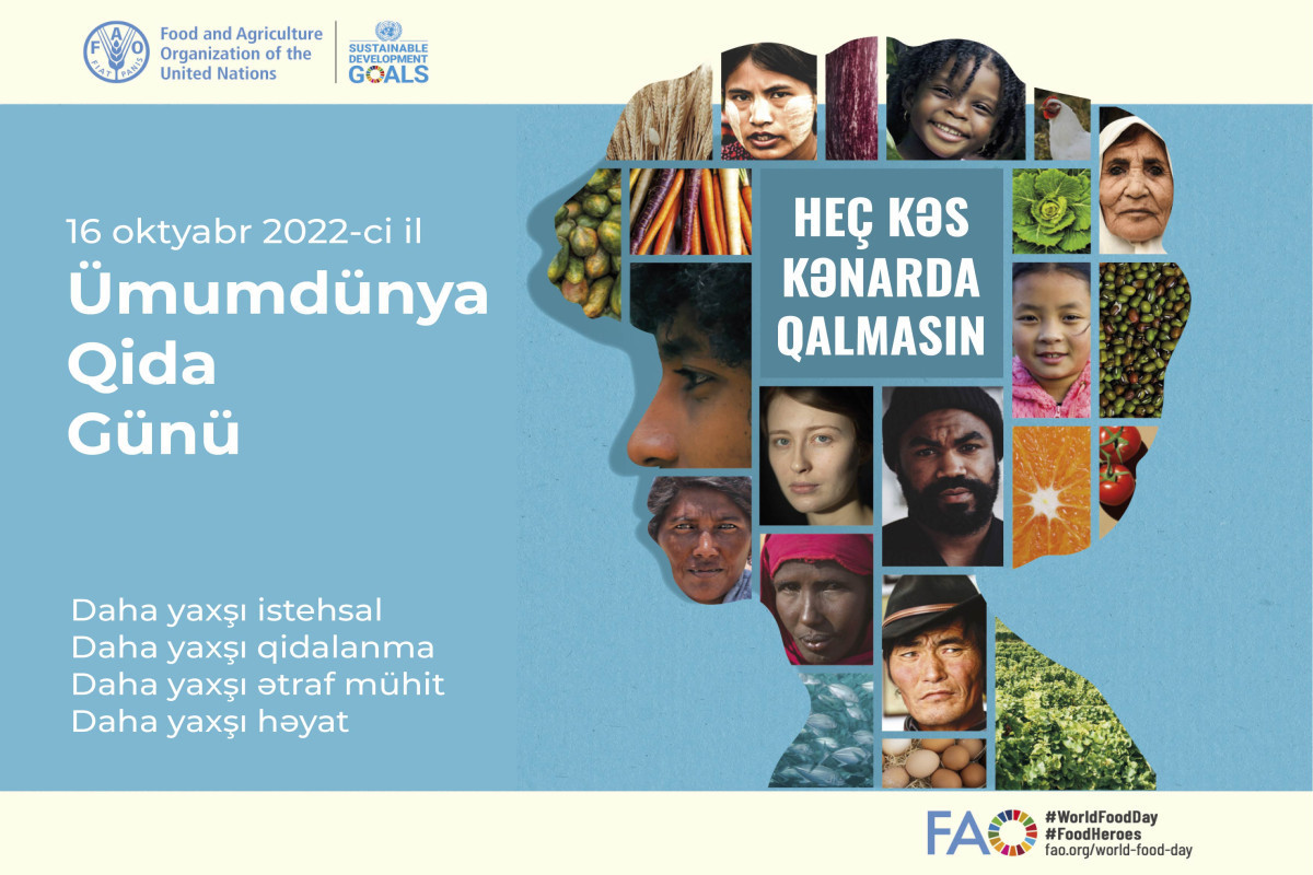 FAO: UN World Food Programme calls for action on World Food Day to avoid another year of record hunger