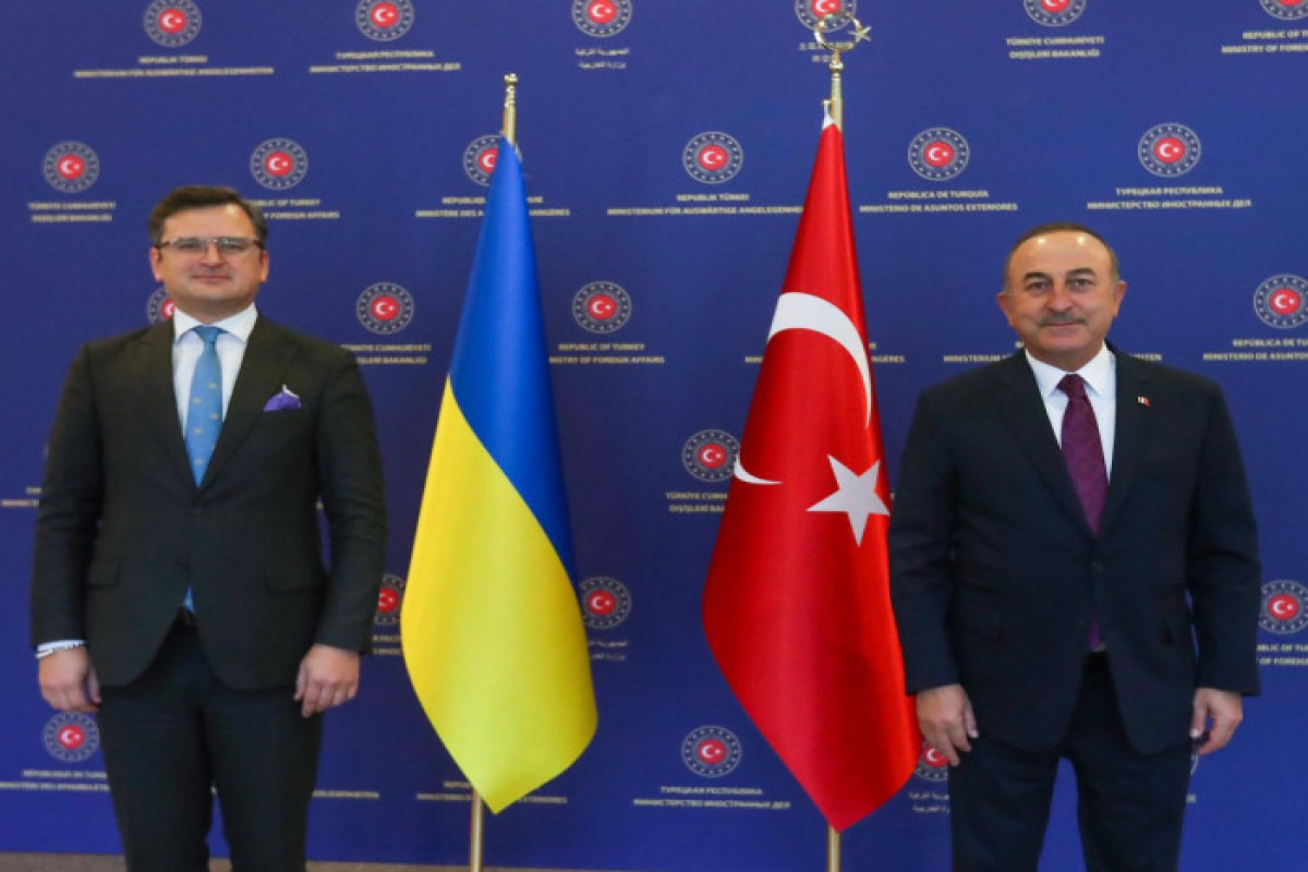 Dmitry Kuleba, Mevlut Cavusoglu
