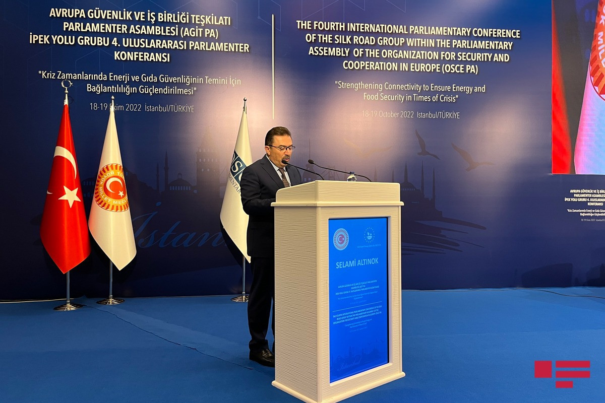 Istanbul hosts conference of Silk Road Support Group-PHOTO 