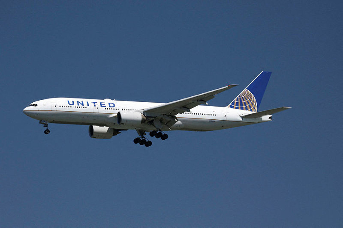 Garter snake causes stir aboard United Airlines jet in New Jersey