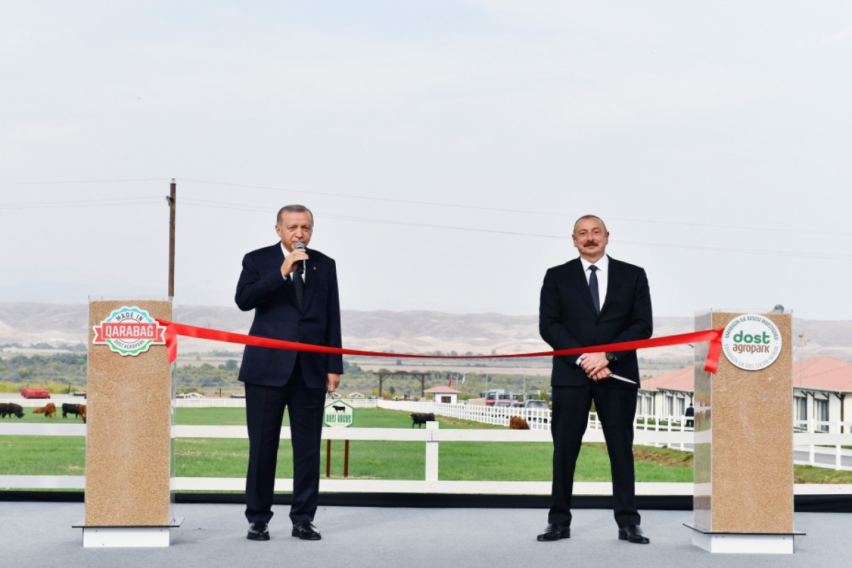 Recep Tayyip Erdogan and Ilham Aliyev