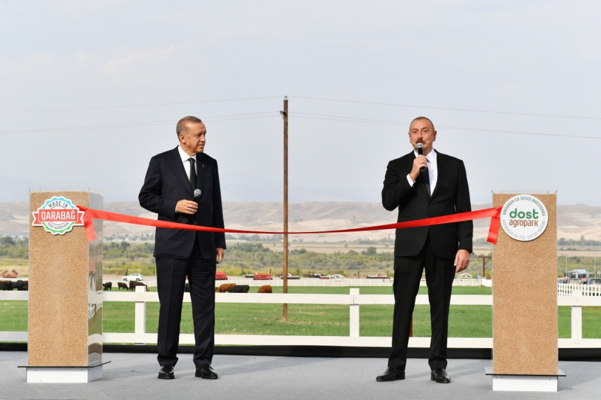 Recep Tayyip Erdogan and Ilham Aliyev