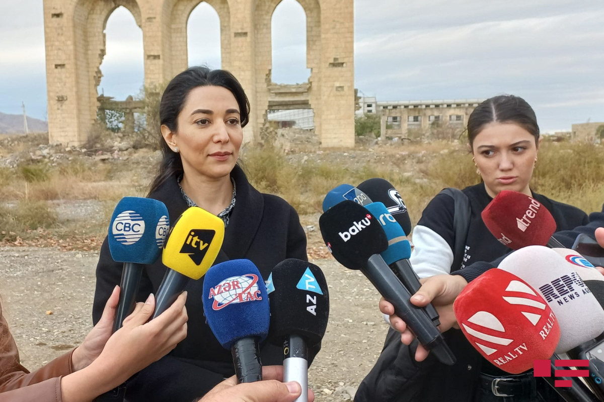 Sabina Aliyeva,  Commissioner for Human Rights of Azerbaijan