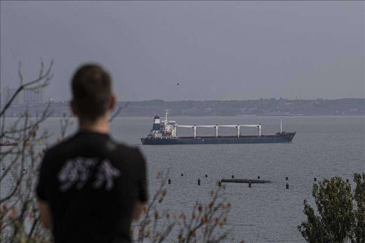 4 more grain ships leave Ukraine under Istanbul deal: Türkiye