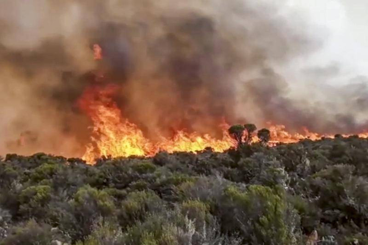 Tanzania mobilizes over 600 firefighters to put out fire on Mt Kilimanjaro