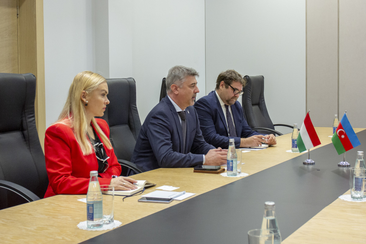 Hungarian companies to participate in turning liberated areas into “green energy zone”