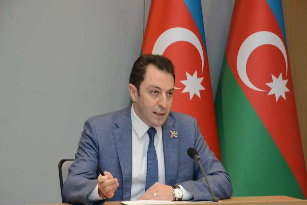 Azerbaijan waits for response from Armenia regarding the main elements of the peace agreement: MFA