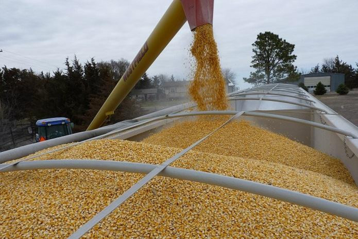 Ukrainian food exports exceed 9 million tons