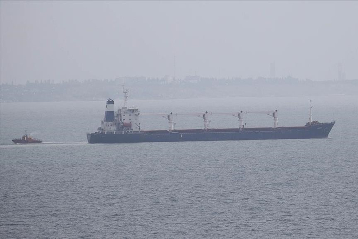 5 more grain ships leave Ukraine under Istanbul deal: Turkiye
