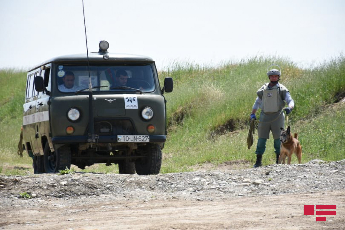 ANAMA: 3042 mines founded in Azerbaijan's liberated territories last month