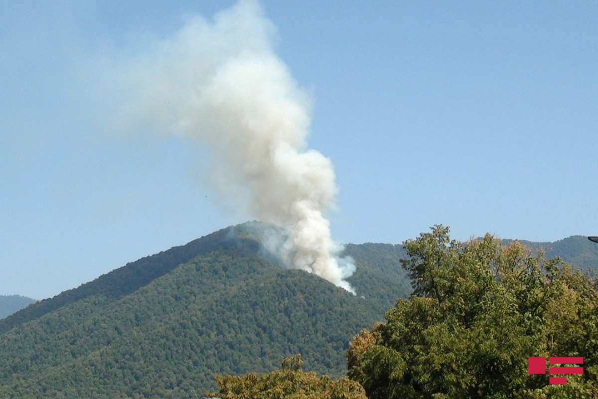 Azerbaijani MES: Fight measures against wildfires continue-VIDEO 