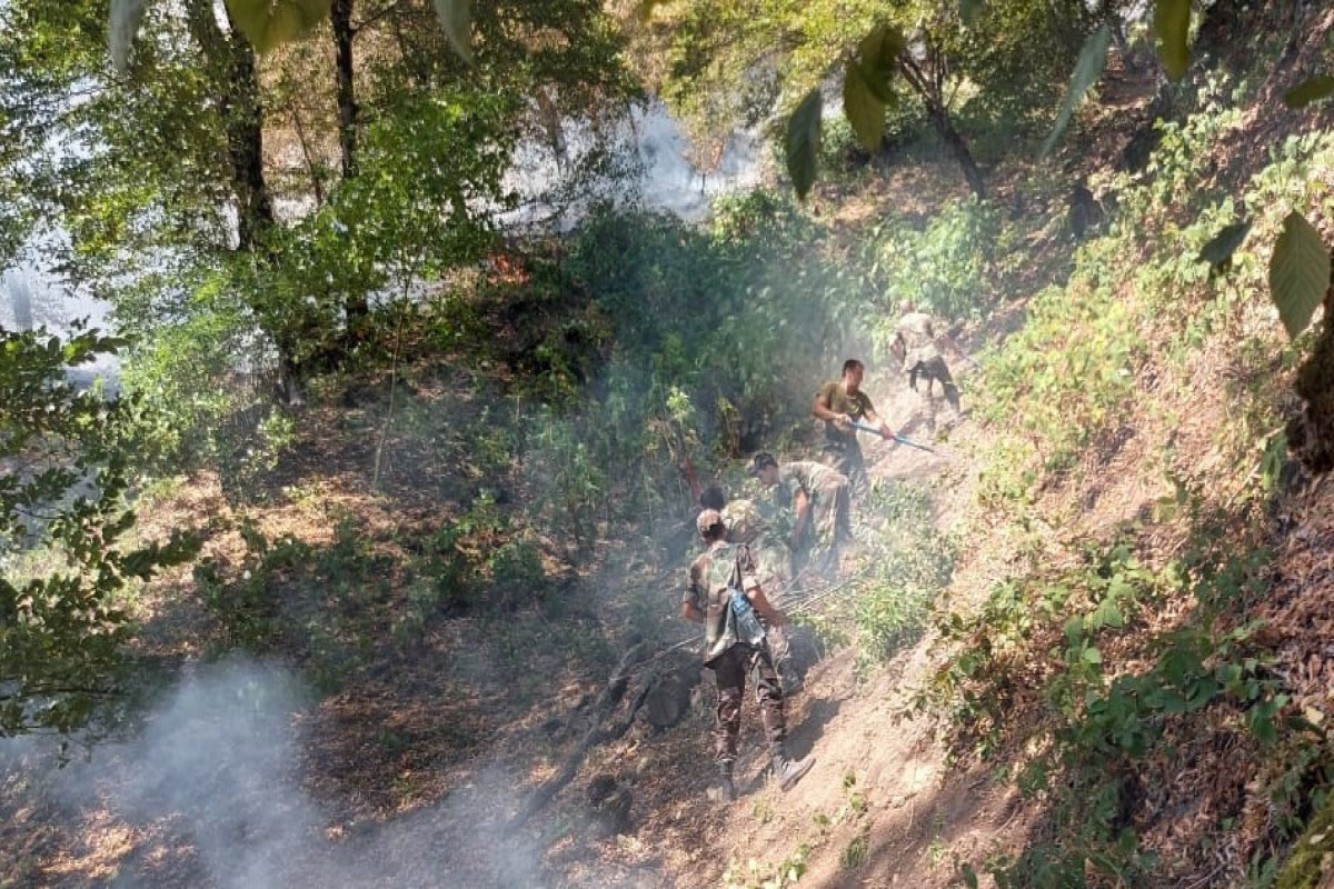 Azerbaijani MES: Fires in Gabala, Oghuz, Zagatala continue