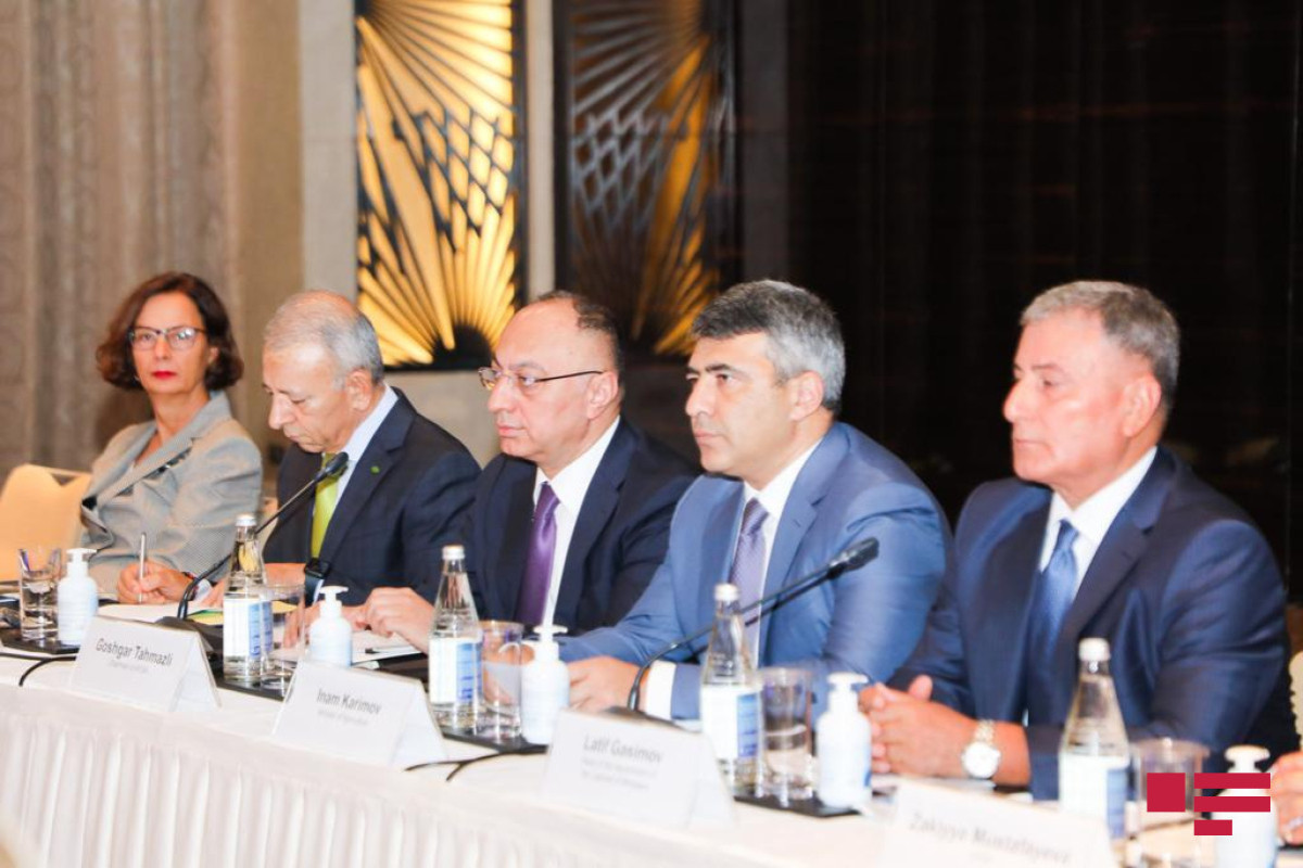 Goshgar Tahmazli: "There are serious price rises and food shortages become real threat"
