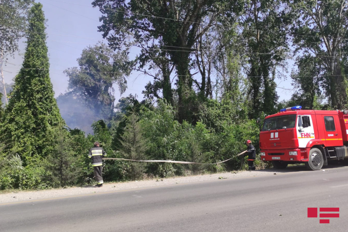 Fires in Azerbaijan's northwest region fully extinguished-VIDEO 