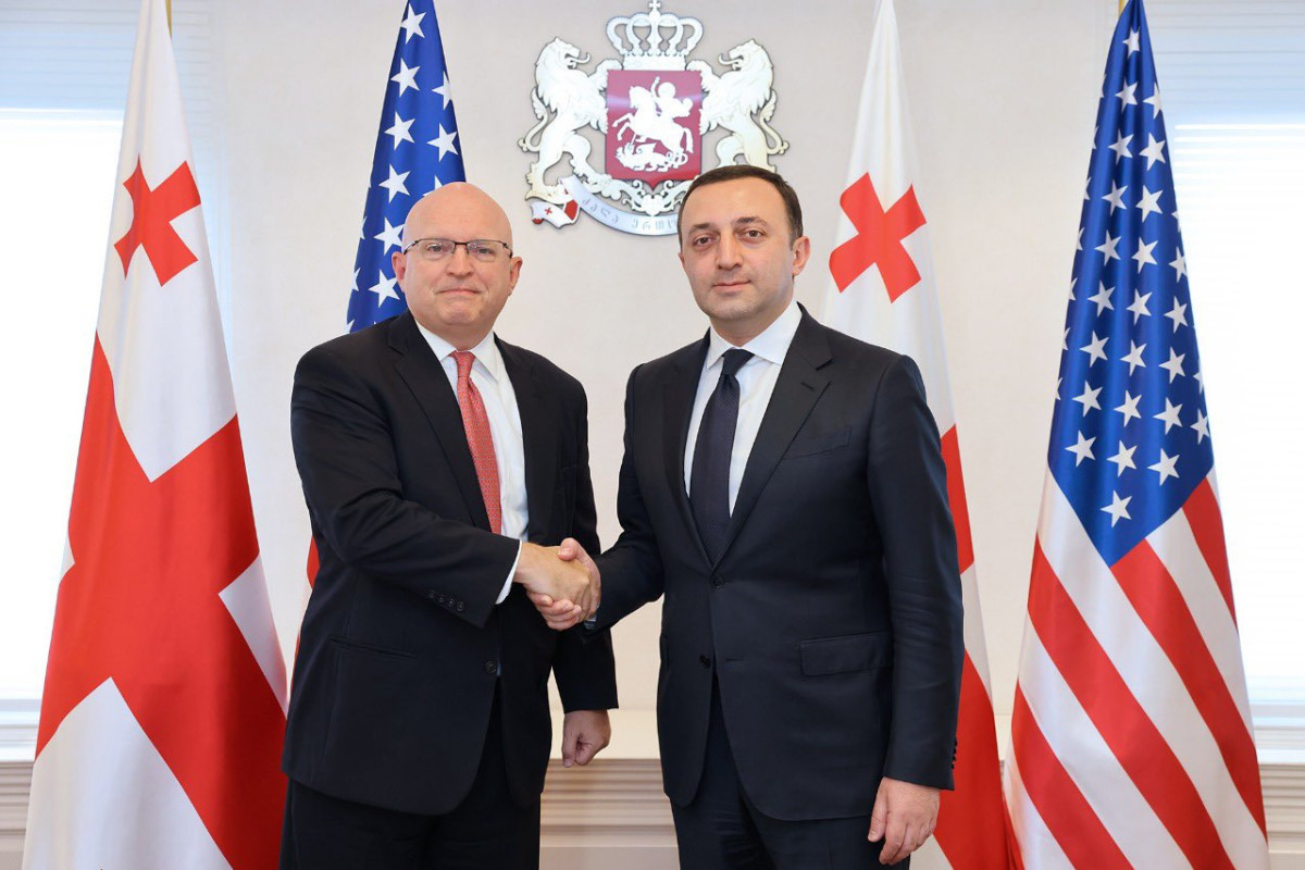 Georgian PM receives Senior Advisor of US for Caucasus Negotiations