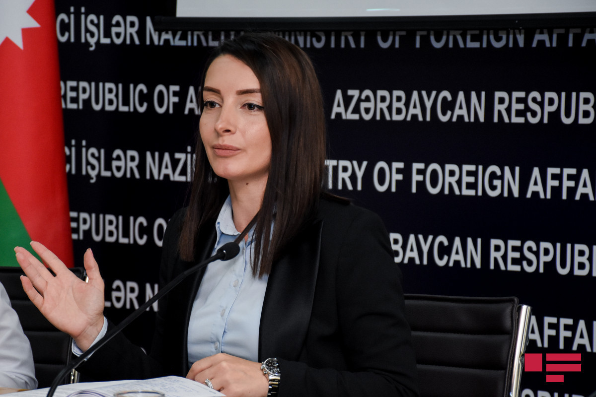 Leyla Abdullayeva, Head of Press Service of the Ministry of Foreign Affairs