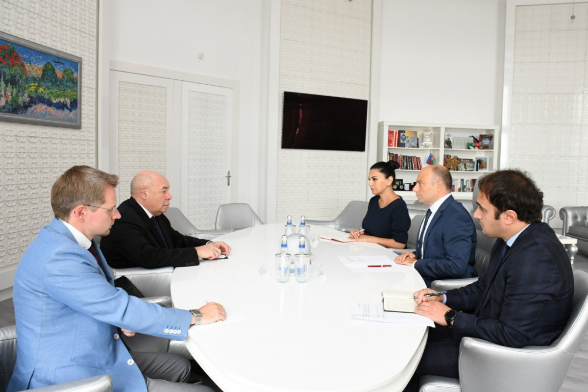 Azerbaijani Culture Minister met with Putin’s special representative