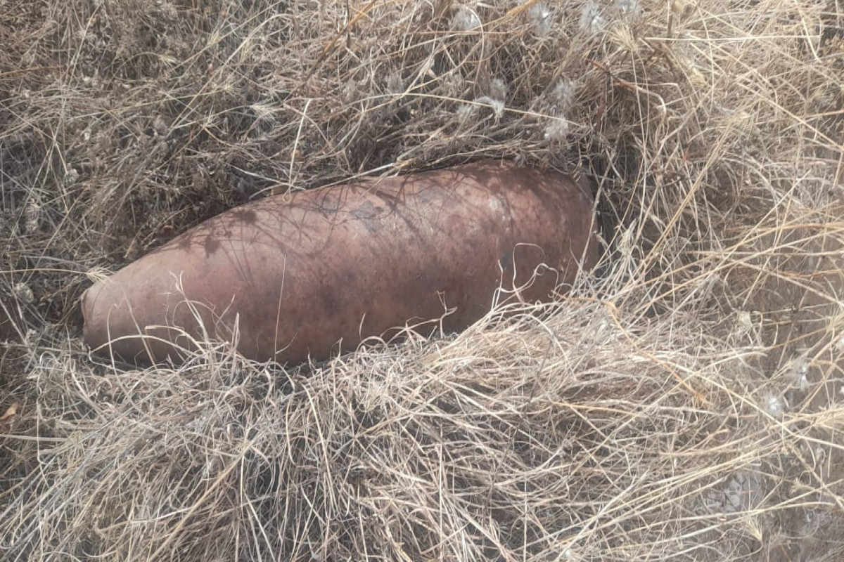 Artillery shells found in Azerbaijan's Lachin-PHOTO 