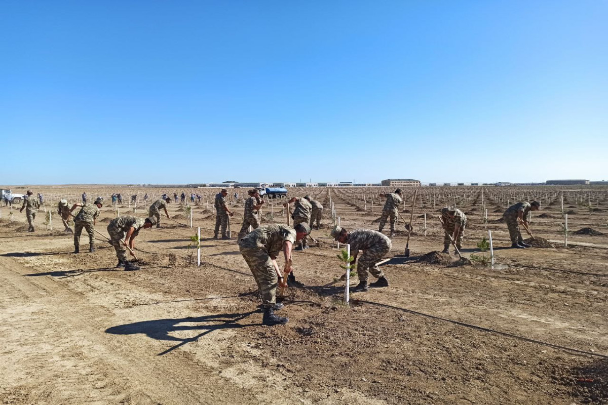 More than 1,000 trees planted on Day of Remembrance