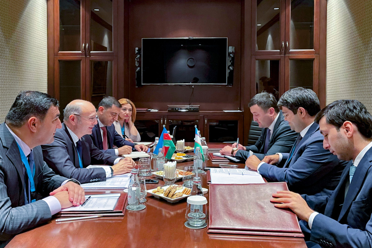Azerbaijan and Uzbekistan mull roadmap for energy cooperation