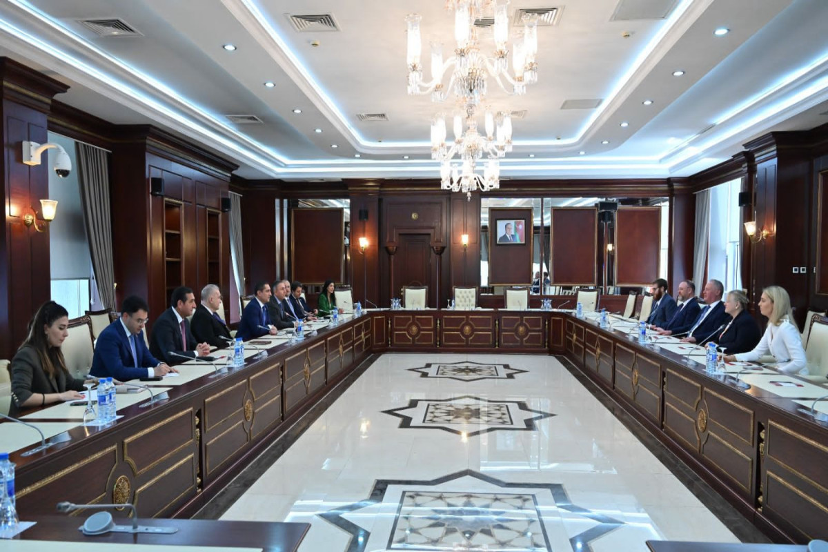 Head of British-Azerbaijani inter-parliamentary friendship group visited Milli Majlis