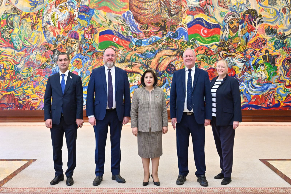 Speaker of Azerbaijani Parliament met with head of friendship group for Azerbaijan in UK Parliament