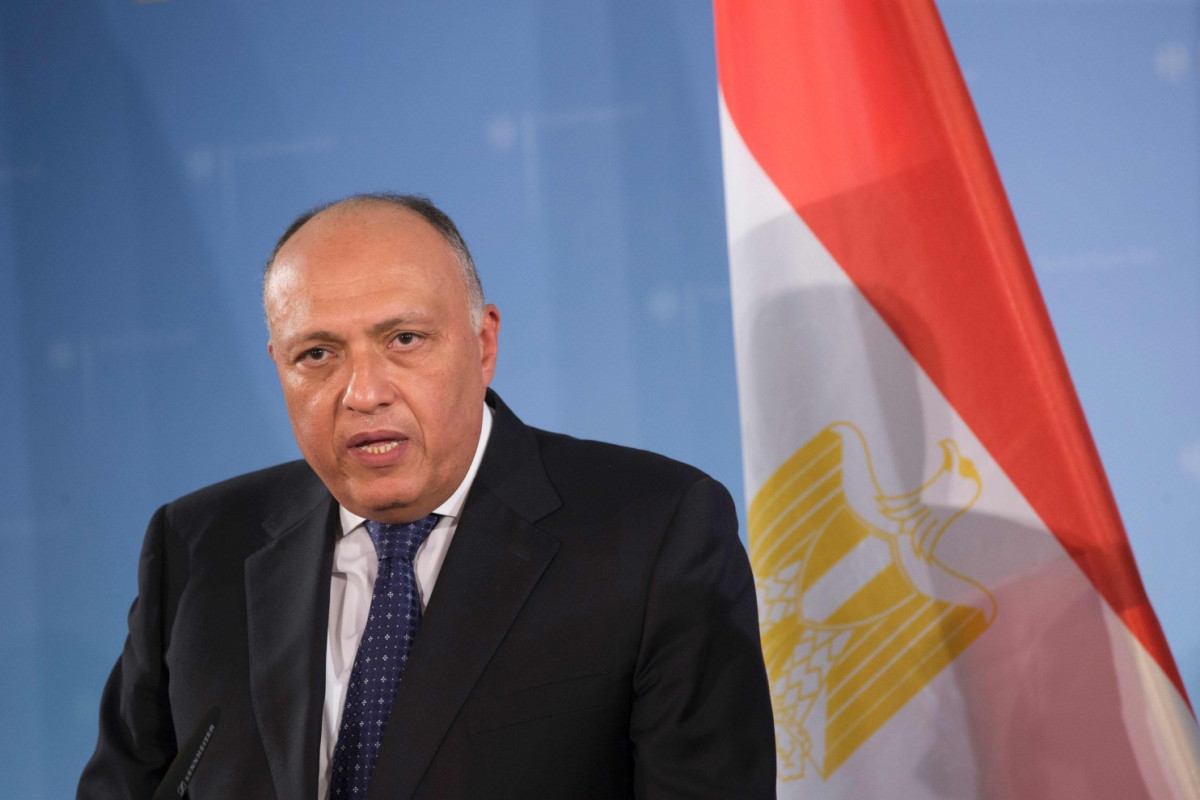 Sameh Shoukry, Egyptian FM