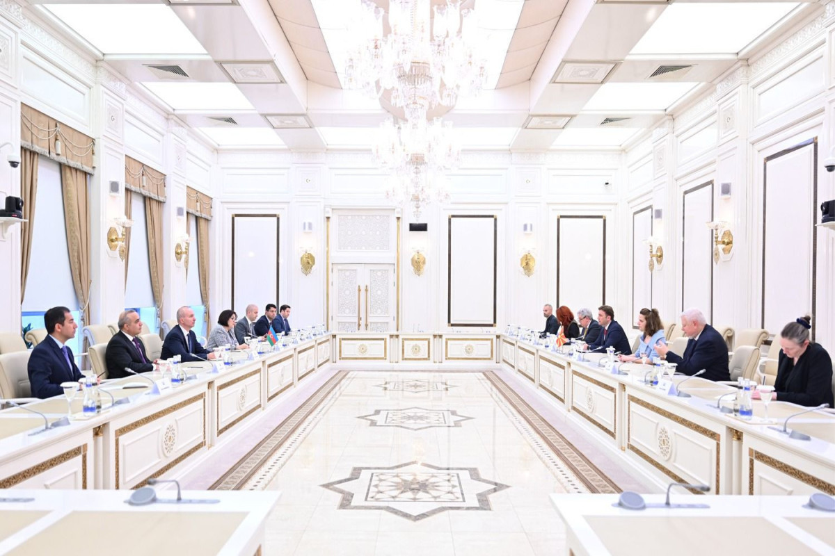 Speaker of Azerbaijan's Parliament meets with OSCE Chairman-in-Office