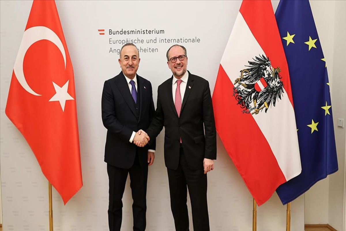 Turkish and Austrian FMs met in Vienna to discuss cooperation