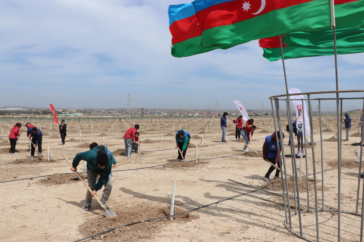 Next tree-planting events held on the 100th anniversary of Great Leader Heydar Aliyev-PHOTO 