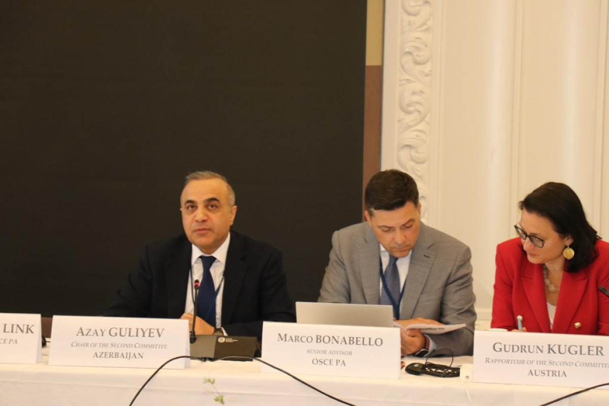 Azerbaijani MP informs the OSCE PA about the necessity of Lachin border checkpoint