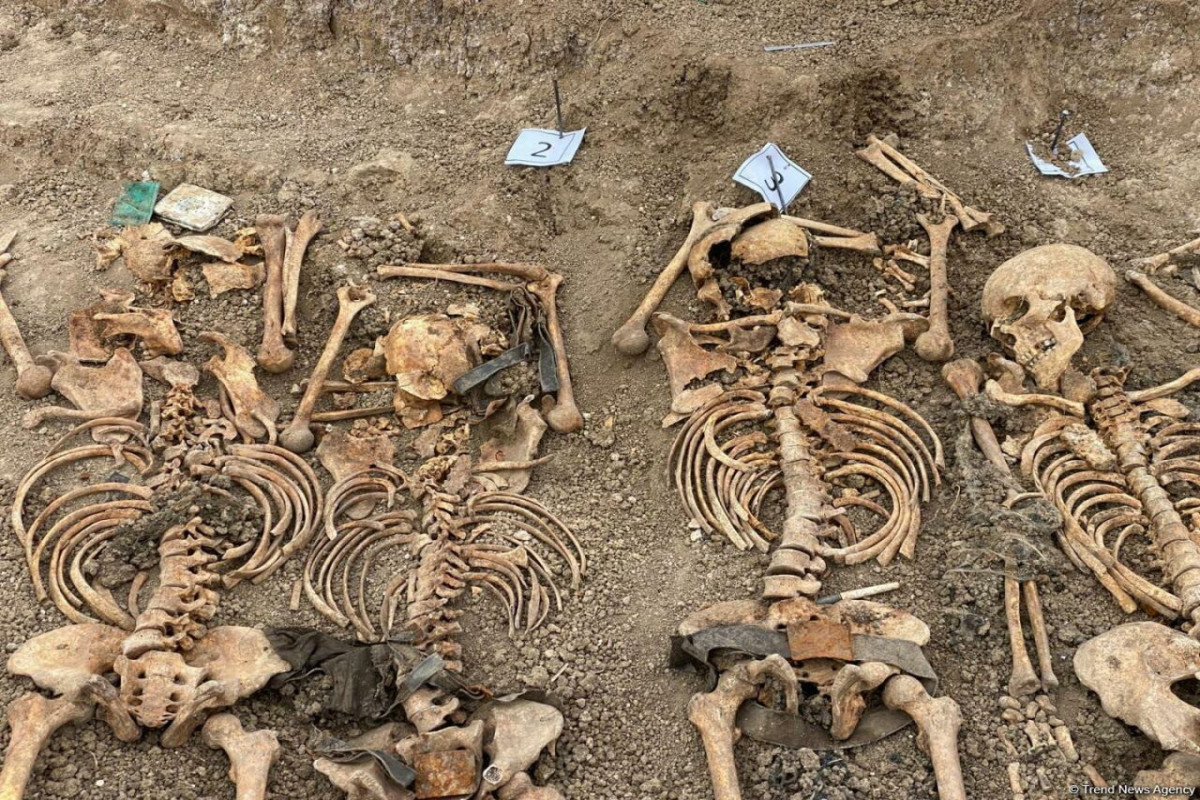 Bone believed to belong human discovered in liberated territory of Azerbaijan's Lachin