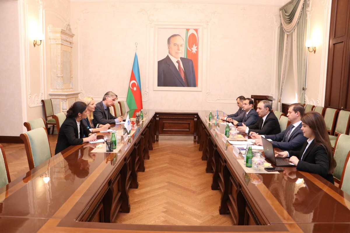IAP Executive Director is on working visit to Azerbaijan-PHOTO 