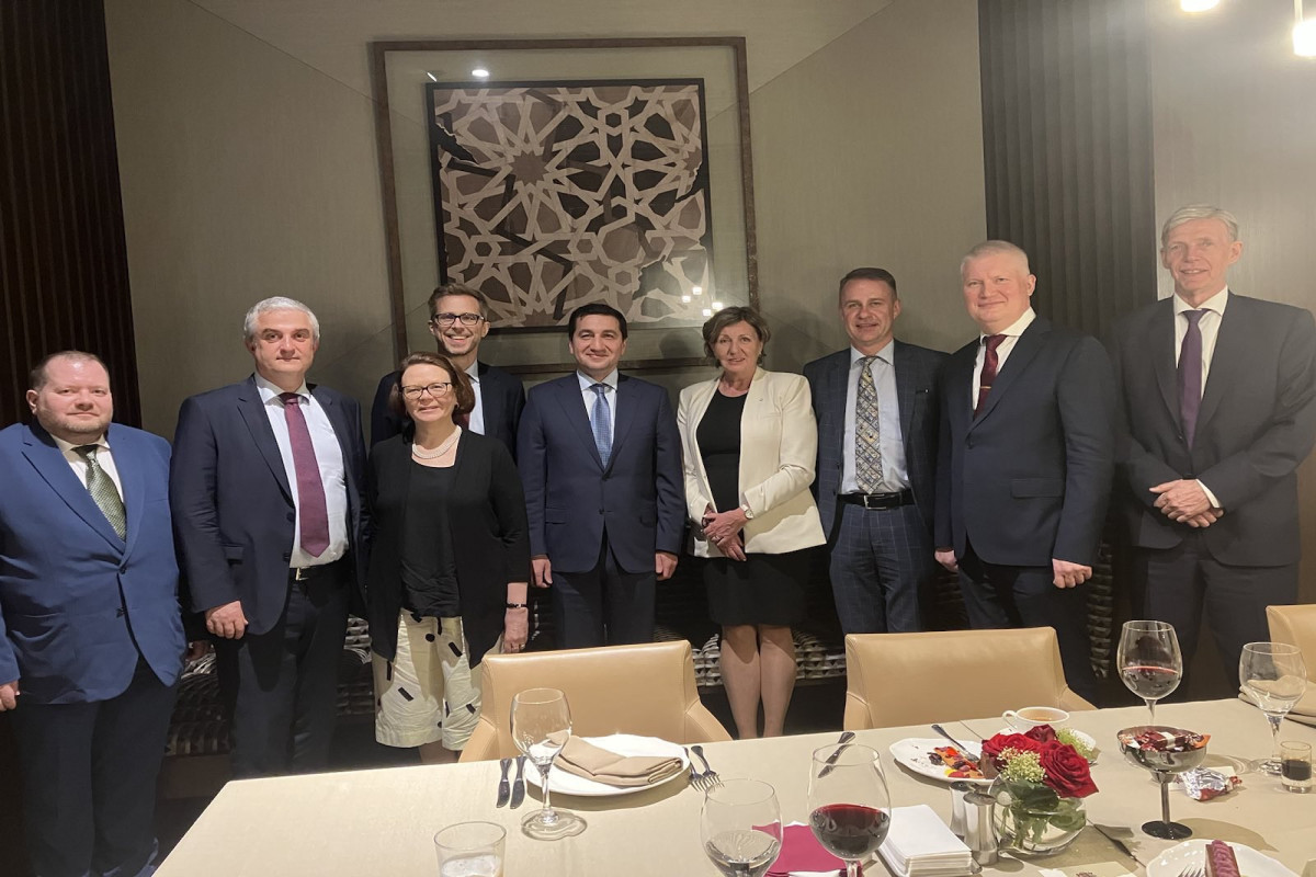 Aide to Azerbaijani President meets with Ambassadors of Scandinavian and Baltic countries