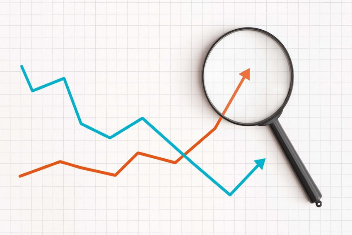 Azerbaijan's economy grew by 0,7% over previous year