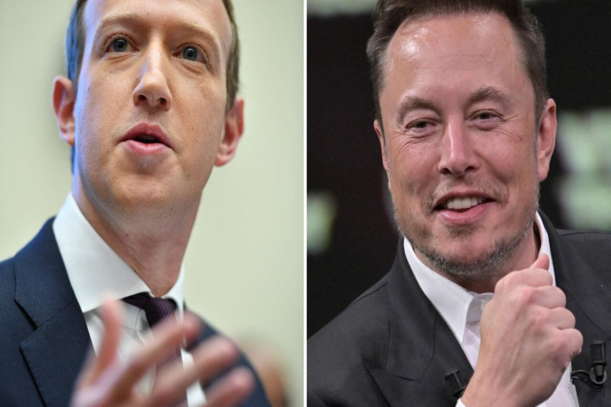 Musk-Zuckerberg cage fight in Italy 