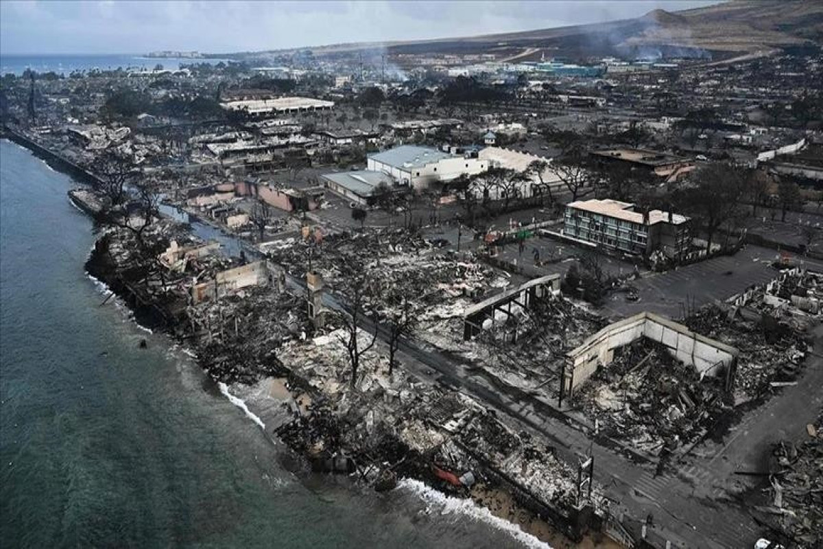 Casualties in Hawaii wildfires reach 93, toll may rise: Governor