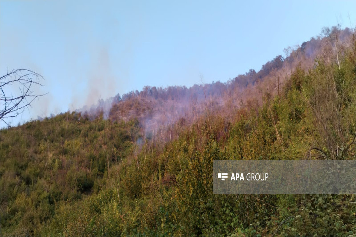 Fire in mountainous terrain in Azerbaijan’s Gabala completely extinguished