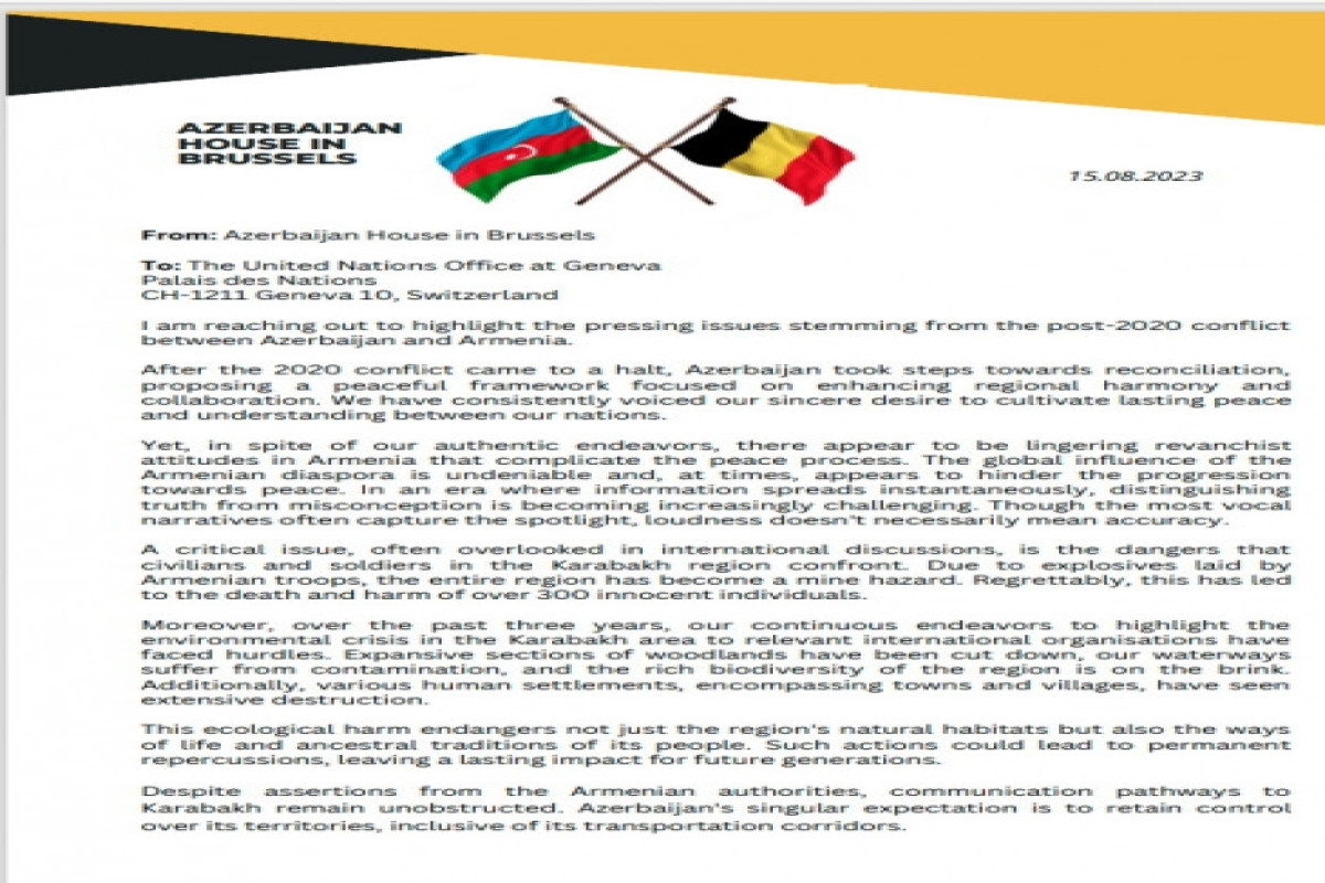 Diaspora organizations and coordination councils issue statement