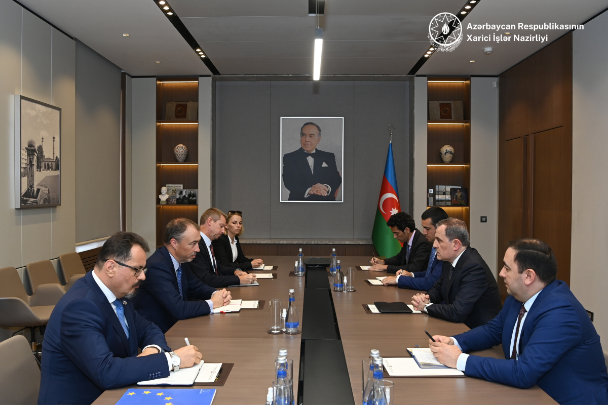 Azerbaijani Foreign Minister informs EU's Special Representative about the increasing military and political provocations of Armenia in the region
