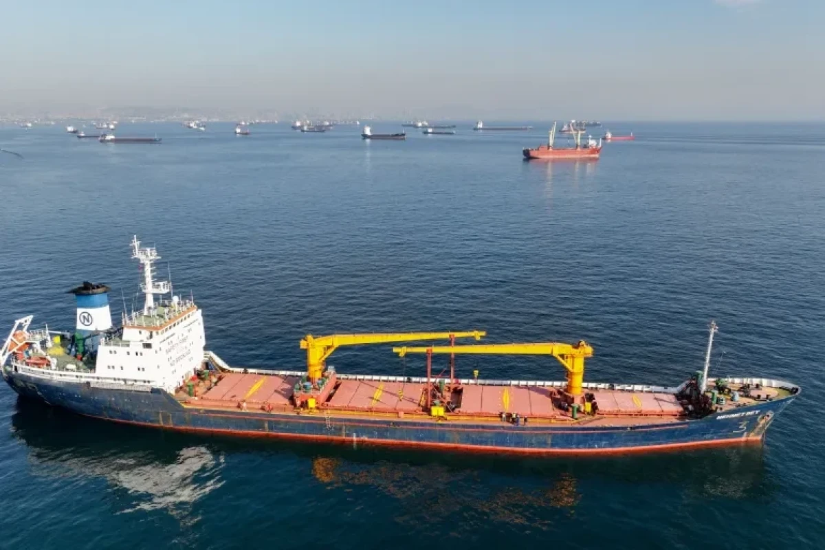 Türkiye to guarantee passing through straits for ships with grain from Ukraine