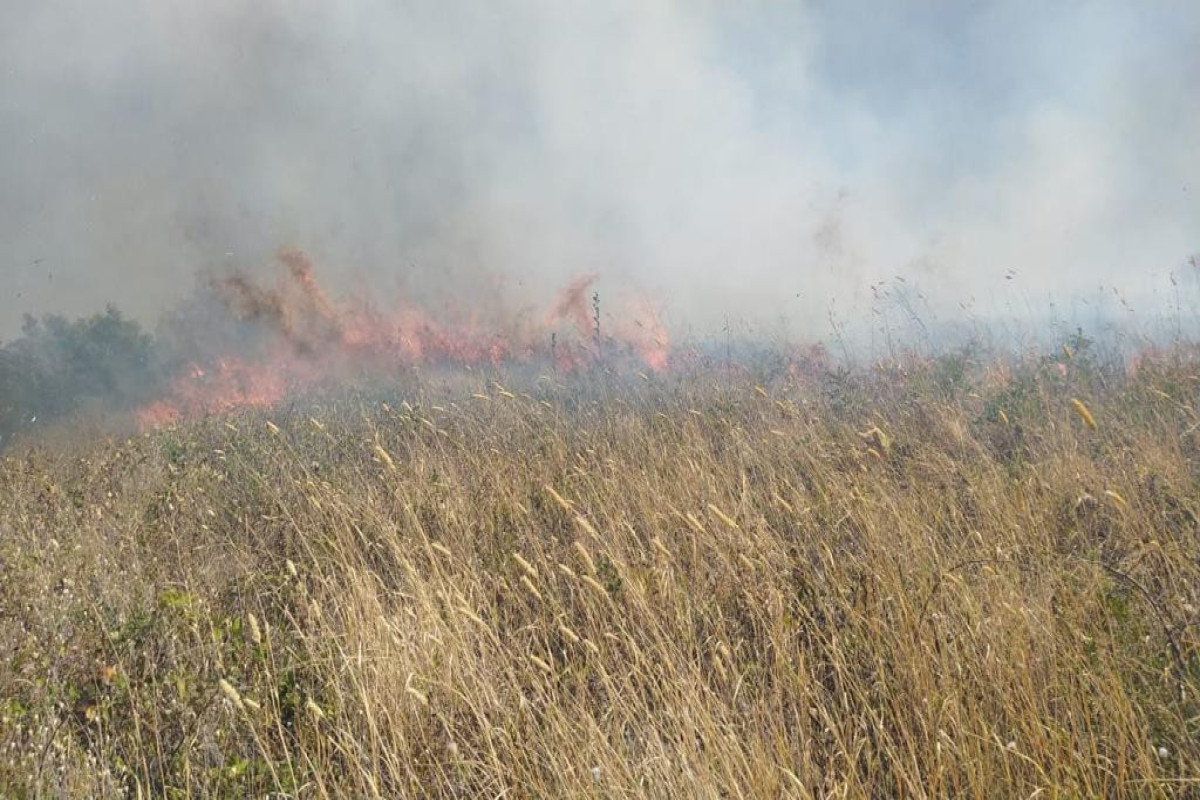 Fire broke out in mountainous area in Shamakhi-VIDEO 