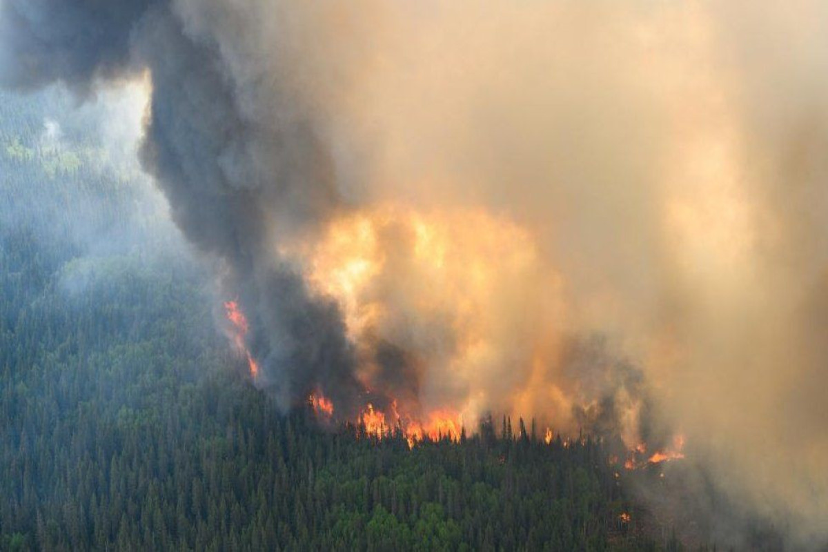 Wildfire evacuees frustrated by Facebook news ban in Canada